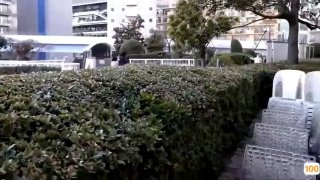 赵世炎调教农村肥熟